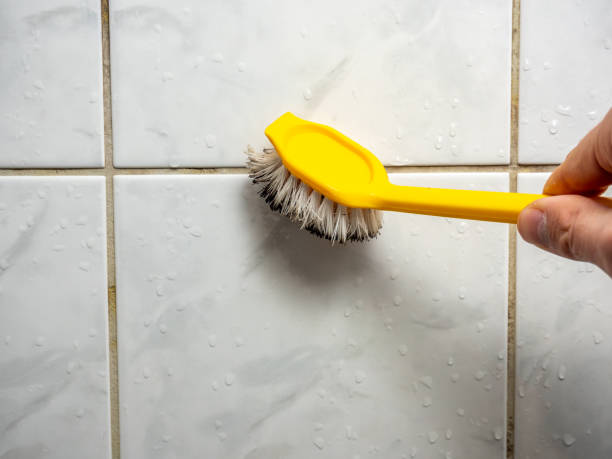 Best Mold Remediation Experts  in Poplar Bluff, MO
