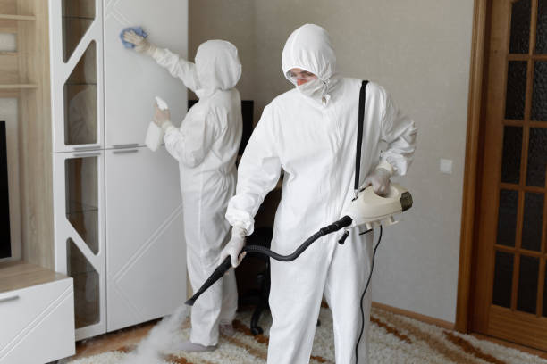 Best Toxic Mold Removal  in Poplar Bluff, MO