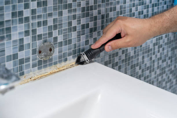 Mold Removal and Inspection in Poplar Bluff, MO