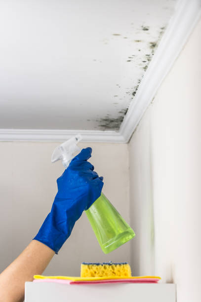 Best Crawl Space Mold Removal  in Poplar Bluff, MO